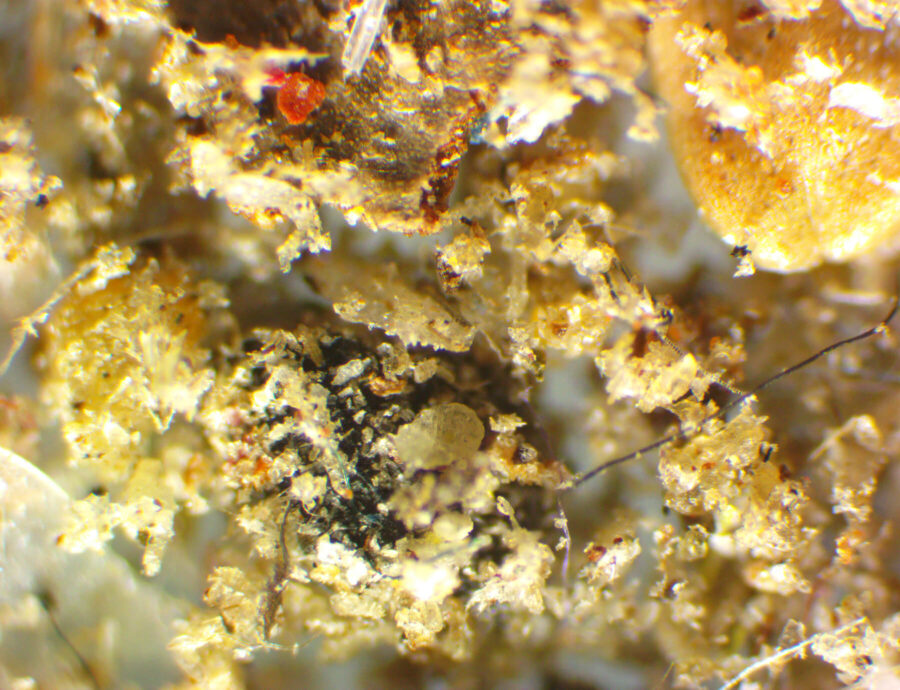 Super magnified view of encapsulated soil, fibers, binders, and other miscellaneous debris removed during pre-vacuum before second scheduled cleaning.