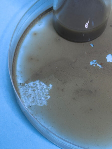 Close up of encapsulated soluble soil.